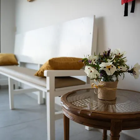 Apartamento Casa Dos Móveis *